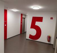 ovocne_sady_byt_na_prenajom_chodba