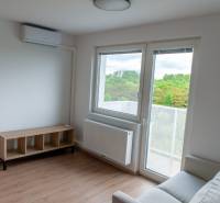 ovocne_sady_byt_na_prenajom_izba