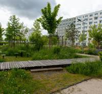 ovocne_sady_byt_na_prenajom_exterier