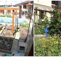 Családi ház a Laborc utcában, Iglón, gondozott kerttel és virágokkal.