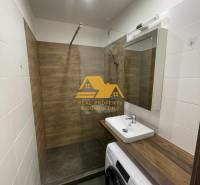 Fürdőszoba egy egyszobás lakásban mosdóval, zuhanyzóval és mosógéppel, fa dekorációval.