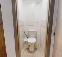 WC fa dekor padlóval egy háromszobás lakásban.