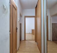 Két szobás lakás folyosója fa dekorációjú ajtókkal és padlóval.