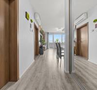 2 szobás lakás belső tere fa dekor padlóval, tükörrel és légkondicionálóval.