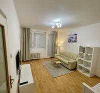 Nappali kanapéval, televízióval és fa dekorációjú padlóval egy egyszobás lakásban.