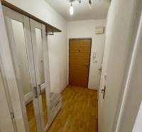 Előszoba tárolóhellyel és fa dekorációjú padlóval egy egyszobás lakásban.