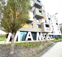 Épület felirattal és fával a Nejedlého utcában, Pozsony-Dúbravka.