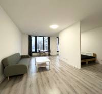 1 szobás lakás fa dekor padlóval, kanapéval és étkező sarokkal.