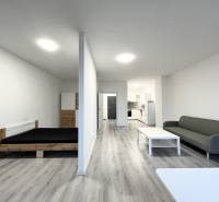 1 szobás lakás belső tere fa dekorációjú padlóval, ággyal és kanapéval.