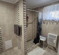 Fürdőszoba családi házban csempével és zuhanyzóval, virágokkal díszítve.