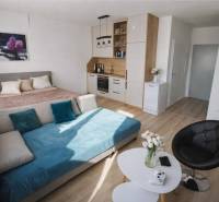 Egyszobás lakás ággyal, kanapéval, konyhapulttal és fa dekoros padlóval.