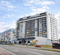 Lakóházak a Pozsonyi - Petržalka Rusovská úton, az út és a járda mellett.