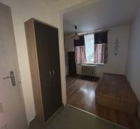 Az egyszobás lakásban látható a fa dekorációjú padló, az ágy és a szekrény.