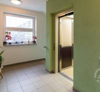 Lift és virágok folyosója a Kazanszká utcában, Pozsony - Podunajské Biskupice.