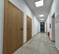 Folyosó világos csempékkel, faajtókkal és mennyezeti lámpákkal egy egyszobás lakásban.