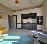 1 szobás lakás belső tere konyhabútorral, zöld szőnyeggel és fa dekorú padlóval.