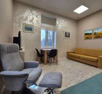 Nappali egy egyszobás lakásban, fotellel, kanapéval és asztallal, fa dekor padlóval.