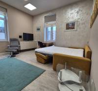 Egy szobás lakás nappali része ággyal, televízióval és fotellel, fa dekorációjú padlón.