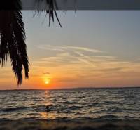 Naplemente a tenger felett, pálmalevelek az előtérben, ingatlanértékelési jelek.