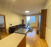 Nappali konyhával és fa dekoros padlóval egy kétszobás lakásban.