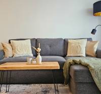 Stílusos nappali egy egyszobás lakásban szürke kanapéval és fa asztallal.