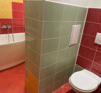 ružinov_byt_na_prenajom (11).jpg