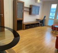 ružinov_byt_na_prenajom (17).jpg