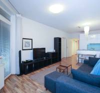 Két szobás lakás nappalija fa dekor padlóval és stílusos bútorokkal.