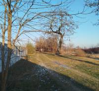 Lakóterületek Galántán, a Hodská utcán, havas táj fákkal.