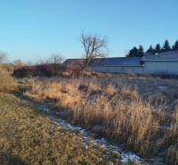 Lakóterületek a galántai Hodská utcában, gyepes növényzettel és néhány bokorral.