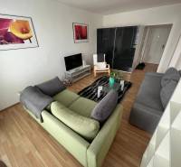 Nappali egy kétszobás lakásban kanapéval, televízióval és képekkel a falakon.