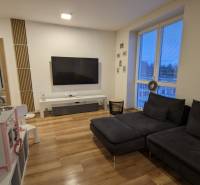 Nappali egy kétszobás lakásban sötét kanapéval és fa dekorációjú padlóval.