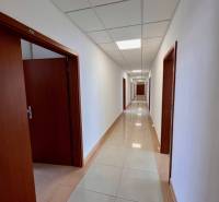 Iste, pošlite mi text, ktorý chcete preložiť do maďarčiny.