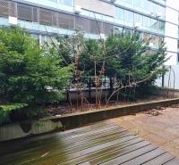 Terasz növényekkel, fa dekorációjú padlóval a pozsonyi Dvořák rakparton.