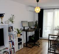 Nappali szoba tele könyvekkel és trófeákkal, íróasztallal és szőnyegpadlóval.