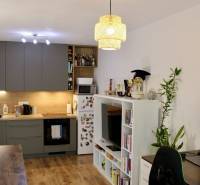 Kétszobás lakás konyhával, nappali bútorzattal, számítógépasztallal és fa dekorációjú padlóval.