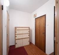 Előszoba egy egyszobás lakásban cipősszekrénnyel, piros szőnyeggel és fa dekorációjú padlóval.