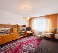 Nappali egy egyszobás lakásban bútorokkal és piros mintás szőnyeggel.