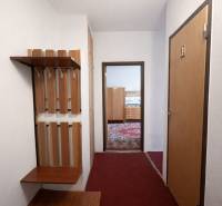 Az egyszobás lakás folyosója fogasfallal és kilátással a szőnyeges szobára.