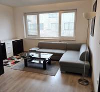 Nappali kanapéval, asztallal és fa dekor padlóval egy egyszobás lakásban.