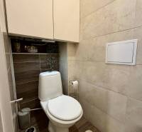 WC fa hatású padlóval egy kétszobás lakásban.