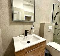 Fürdőszoba egy kétszobás lakásban mosdóval, tükörrel és zuhanyzóval.