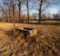 Betonszerkezetű terület fákkal körülvéve Stupaván, Stupava, Kereskedelmi területek.