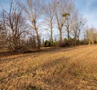 Téli táj Stupaván, a Stupava utcában, fákkal a kereskedelmi telkeken.