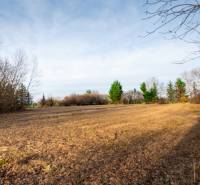 Kereskedelmi telkek Stupaván, a Stupava utcán, nyitott tér környező fákkal.