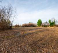 Kereskedelmi telkek Stupaván, Stupava utcában, fákkal és fűvel benőve.