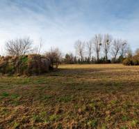 Fás és bokros háttérrel rendelkező füves kereskedelmi telek egy utcán Stupavában.