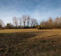 Mezőgazdasági földterület Stupaván, a Stupava utcában, alkalmas kereskedelmi célú telkek számára.