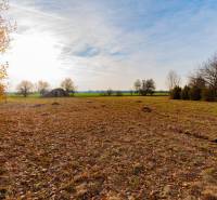 Kereskedelmi telkek Stupaván, Stupaván őszi tájjal és fákkal.