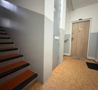 Lépcső és bejárati ajtó egy 3 szobás lakásban, fa dekor padlóval.